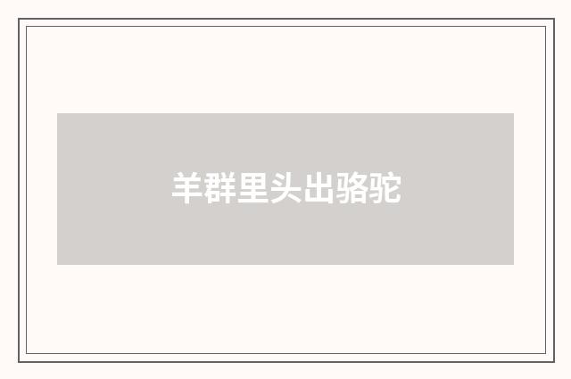羊群里头出骆驼