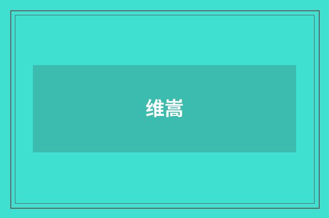 维嵩