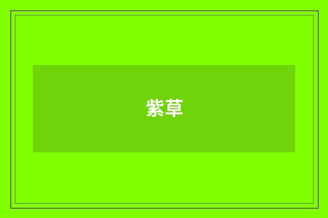 紫草
