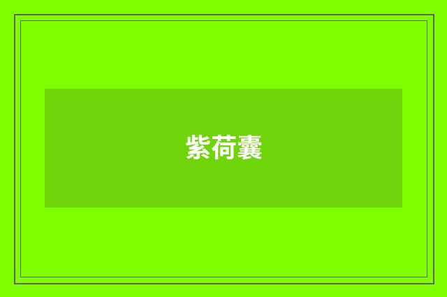 紫荷囊