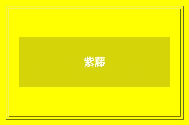 紫藤
