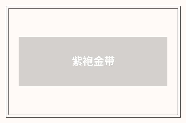 紫袍金带