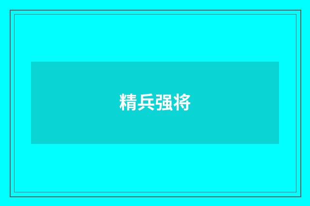 精兵强将