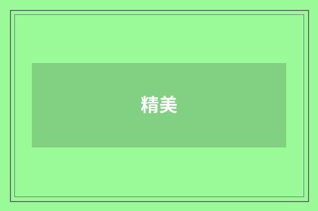 精美