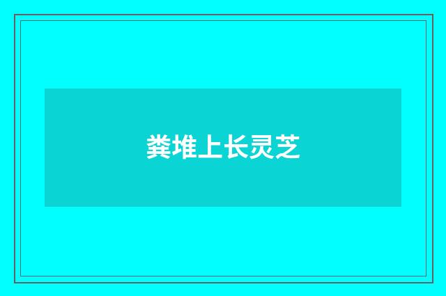 粪堆上长灵芝