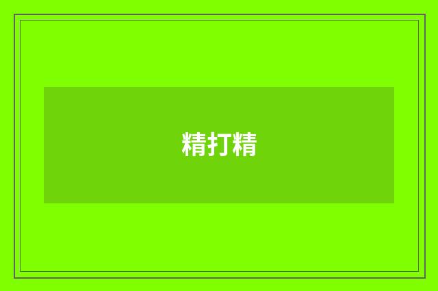 精打精