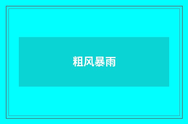 粗风暴雨