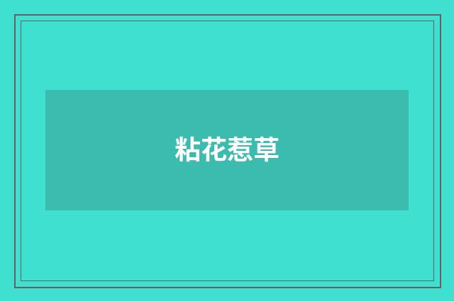 粘花惹草
