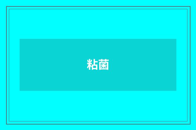 粘菌