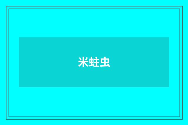 米蛀虫
