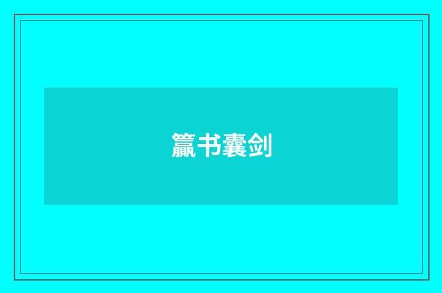 籯书囊剑