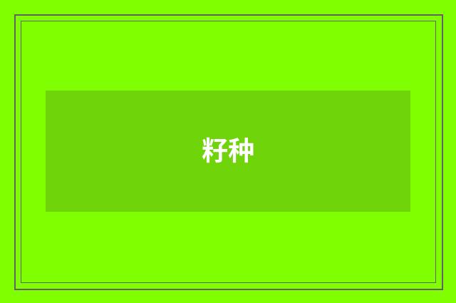 籽种