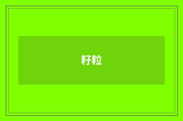 籽粒