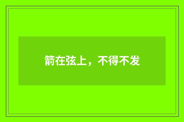 箭在弦上，不得不发