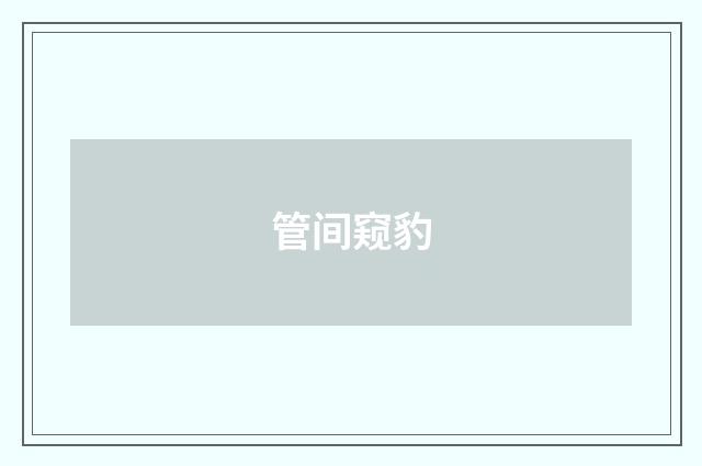 管间窥豹