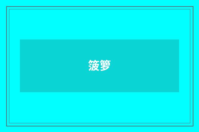 箥箩