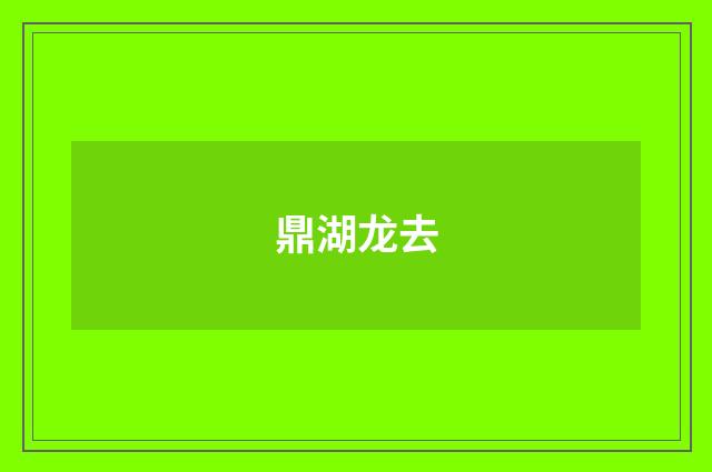 鼎湖龙去