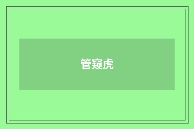 管窥虎