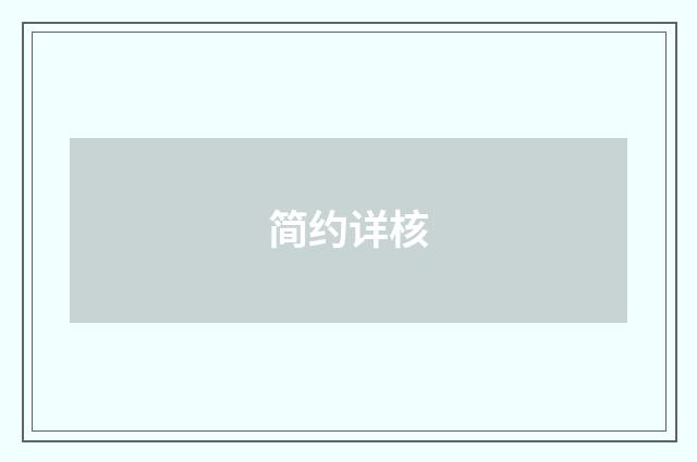 简约详核
