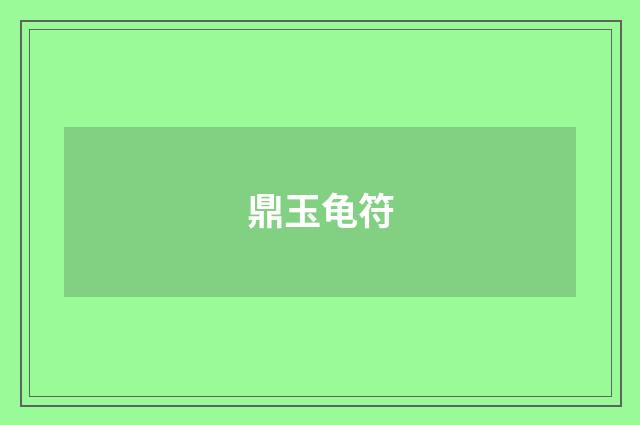 鼎玉龟符