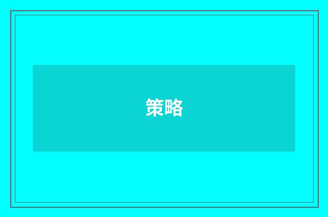 策略