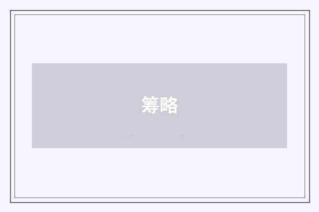 筹略