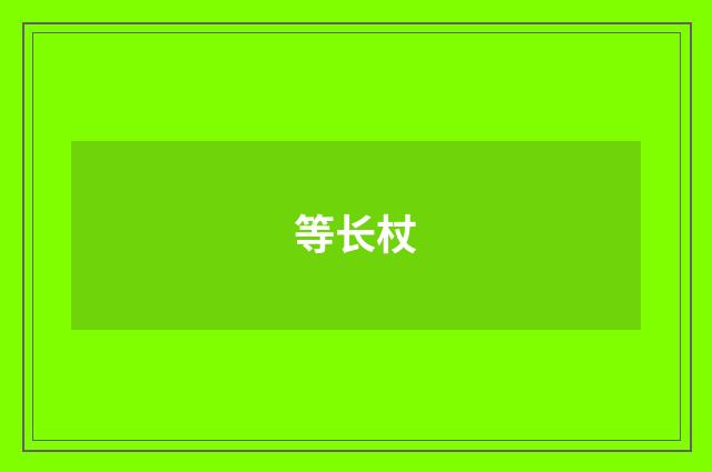 等长杖