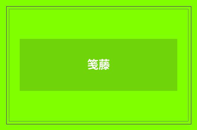 笺藤