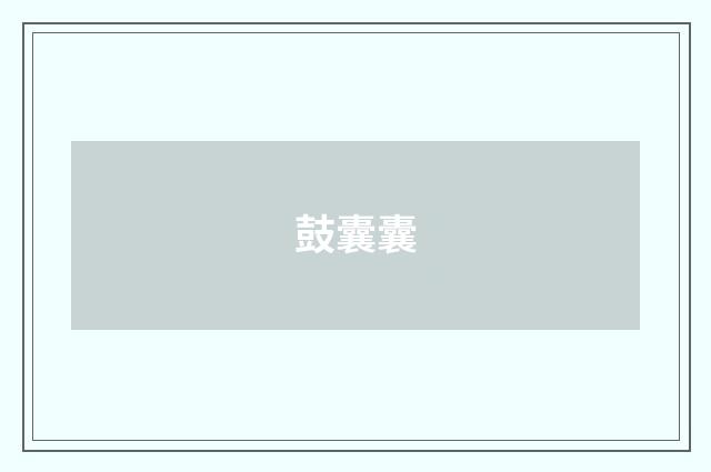 鼓囊囊