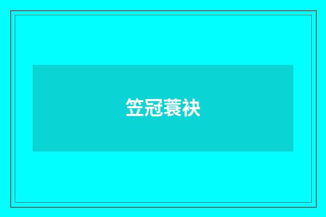 笠冠蓑袂
