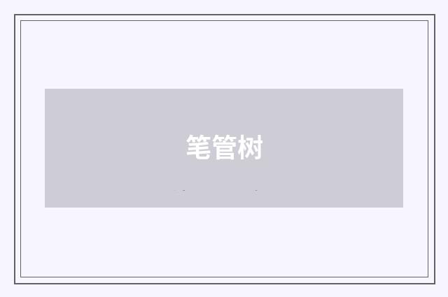 笔管树