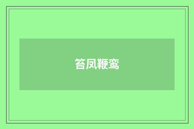 笞凤鞭鸾