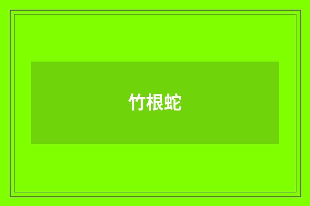 竹根蛇
