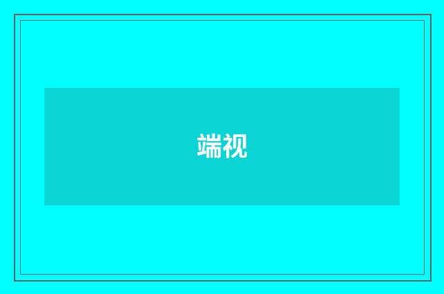 端视