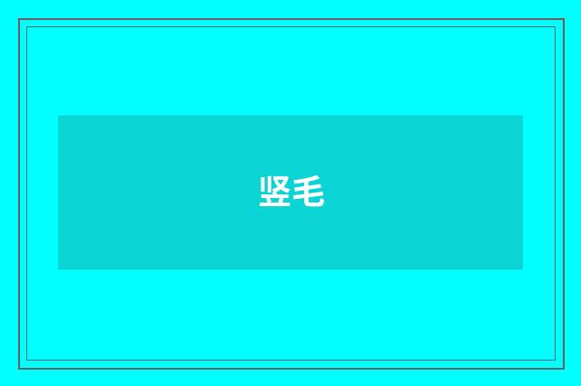 竖毛
