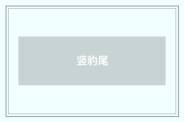 竖豹尾