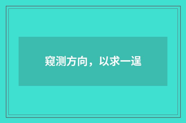 窥测方向，以求一逞