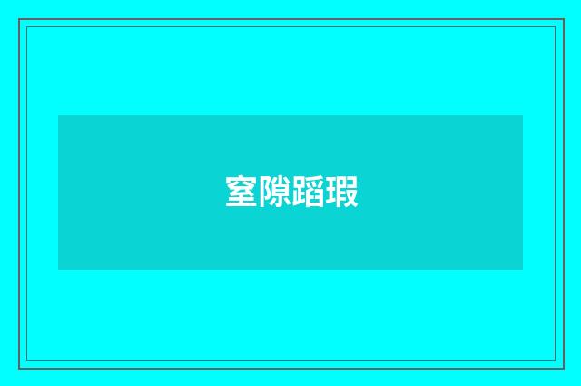 窒隙蹈瑕