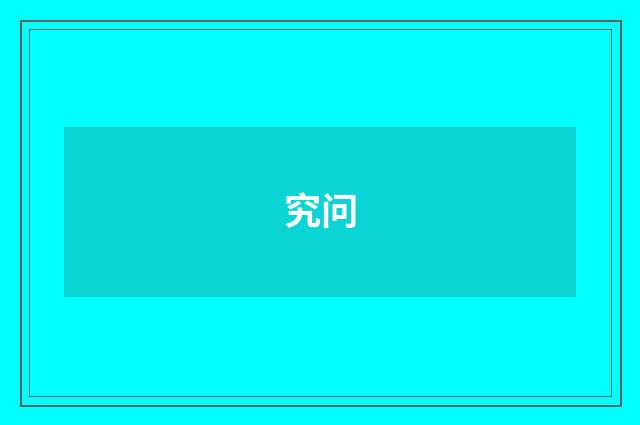 究问
