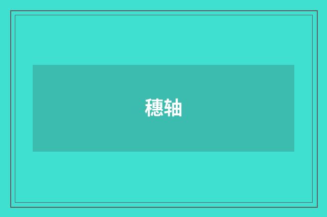 穗轴