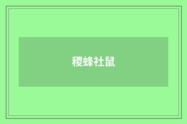 稷蜂社鼠