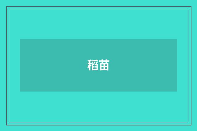 稻苗