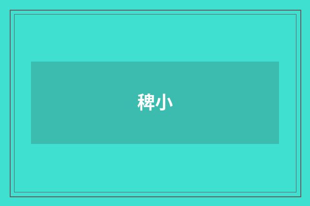 稗小
