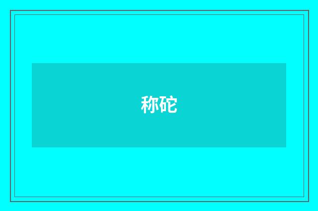 称砣