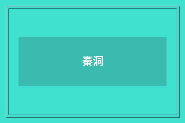 秦洞