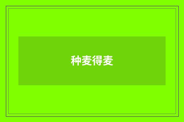 种麦得麦