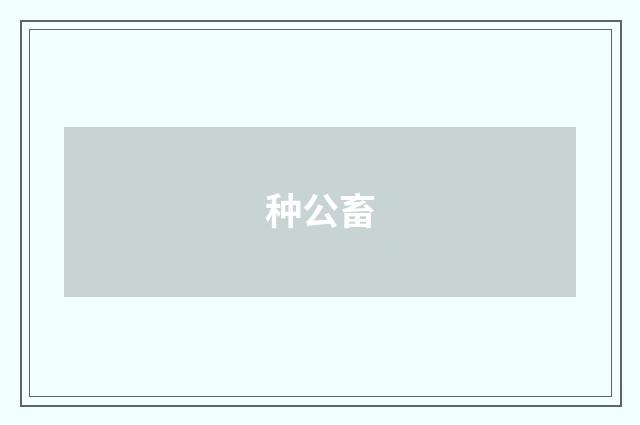种公畜
