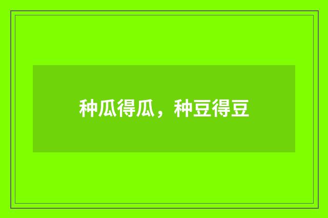 种瓜得瓜，种豆得豆