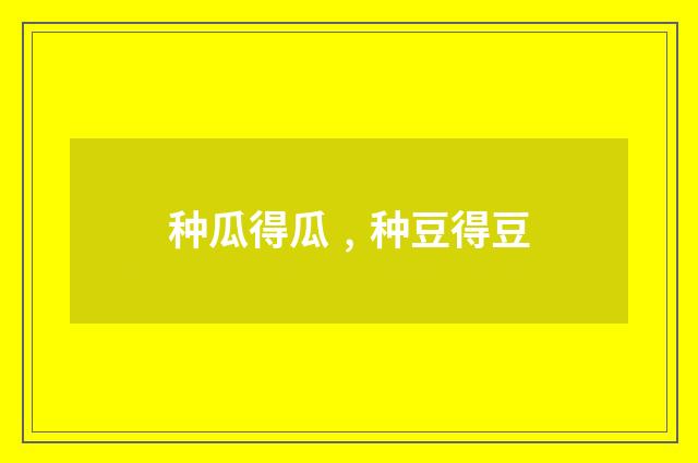 种瓜得瓜﹐种豆得豆