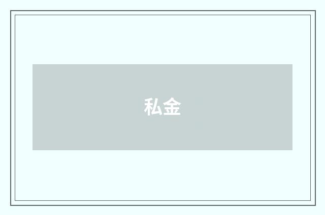 私金